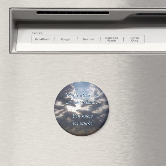 Beste vrienden Magnet (Insitu (Vaatwasser))