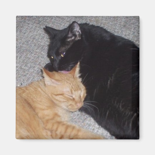 Beste vrienden Magnet (Voorkant)