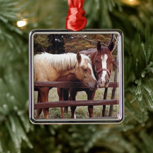 Beste vrienden metalen ornament (Boom)