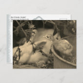 Beste vrienden, misschien? - briefkaart (Voorkant / Achterkant)