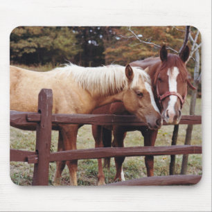 Beste vrienden muismat