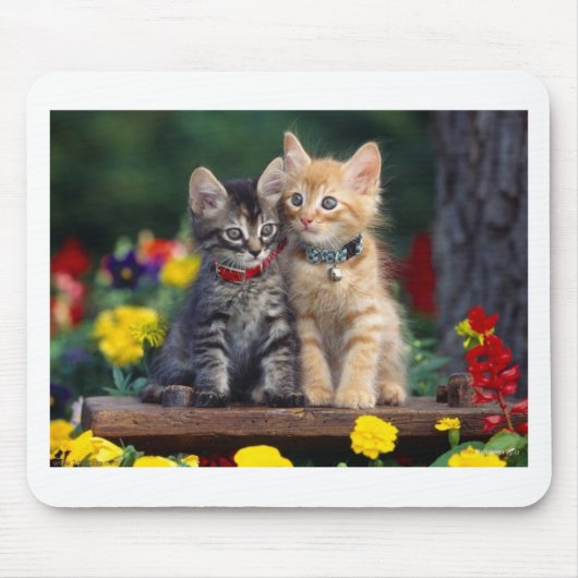 Beste vrienden muismat (Voorkant)