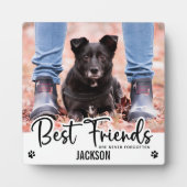 Beste Vrienden Nooit Vergeten Dierenherdenking Fotoplaat (Voorkant)