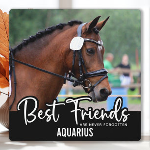 Beste Vrienden Nooit Vergeten Paard Dierenherdenki Fotoplaat