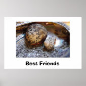 Beste vrienden poster (Voorkant)