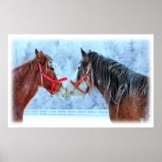 Beste vrienden poster