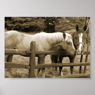 Beste vrienden poster