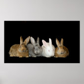 Beste vrienden poster (Voorkant)