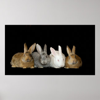 Beste vrienden poster