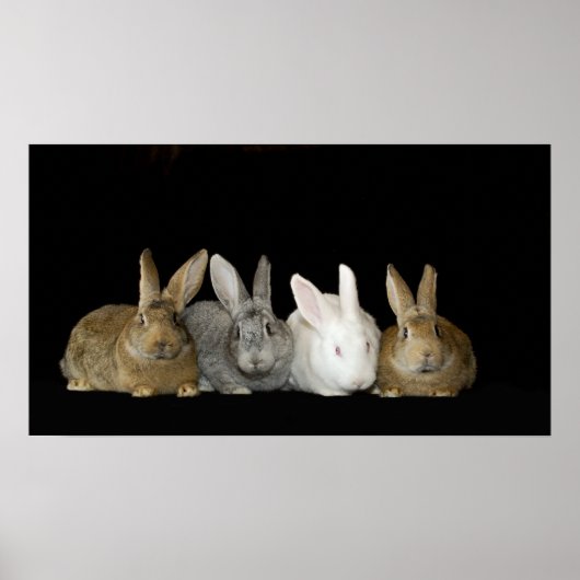 Beste vrienden poster (Voorkant)