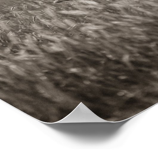 Beste vrienden poster (Hoek)