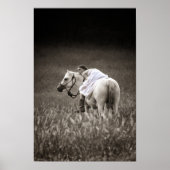 Beste vrienden poster (Voorkant)