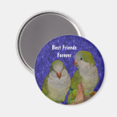 Beste vrienden Quaker Parrots Cute Magnet (Voorkant / Achterkant)