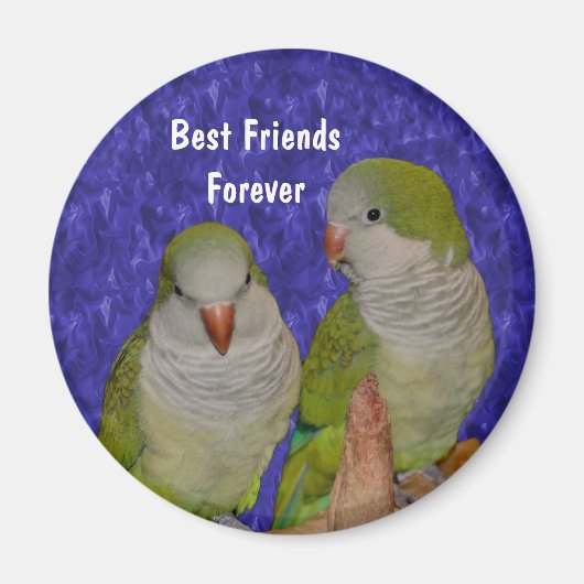 Beste vrienden Quaker Parrots Cute Magnet (Voorkant)