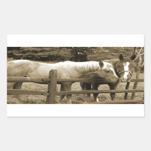 Beste vrienden rechthoekige sticker