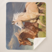 Beste vrienden sherpa deken (Voorkant)