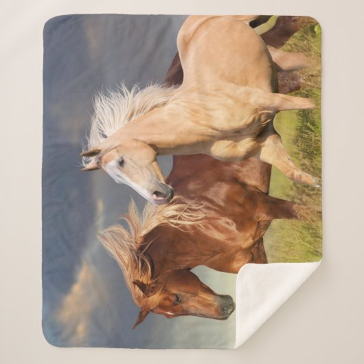 Beste vrienden sherpa deken (Voorkant)