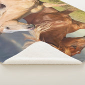 Beste vrienden sherpa deken (3/4)