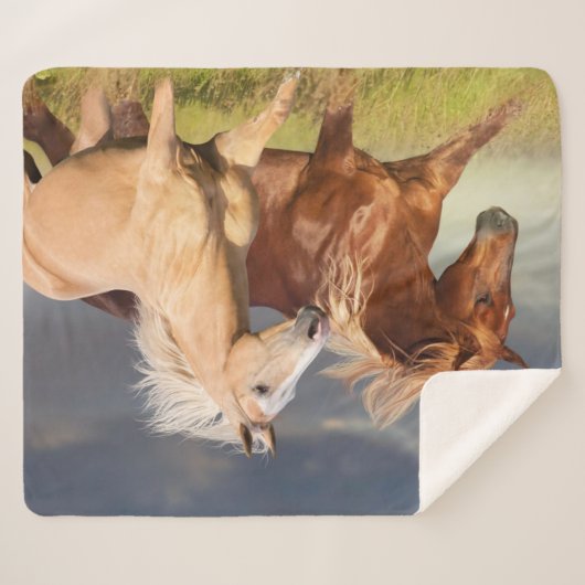 Beste vrienden sherpa deken (Voorkant (horizontaal))