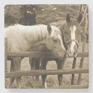 Beste vrienden stenen onderzetter