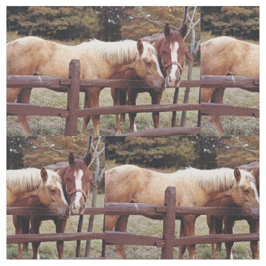 Beste vrienden stof (Close Up)