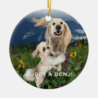 Beste Vrienden Twee Honden op het gebied van bloem Keramisch Ornament