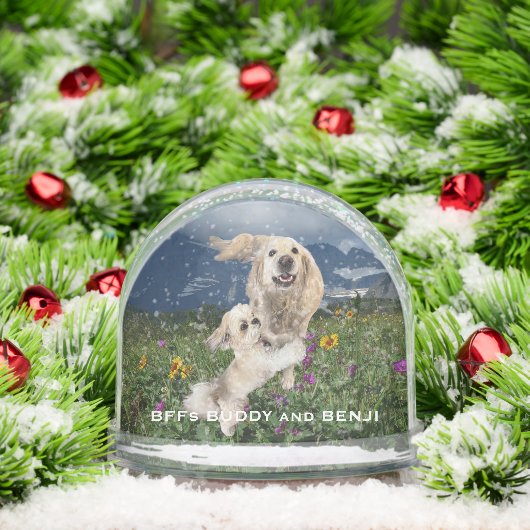 Beste Vrienden Twee Honden op het gebied van bloem Sneeuwbol (Kerstmis)