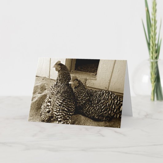 Beste vrienden van twee hennen kaart (Voorkant)
