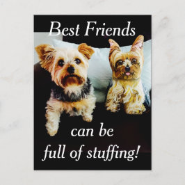 Beste vrienden vol studeren Yorkie personaliseren Briefkaart