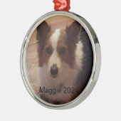 Beste vrienden voor altijd gepersonaliseerde Ornam Metalen Ornament (Links)