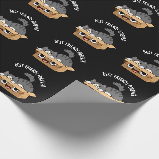 Beste vrienden voor altijd grappige kat en doos pu cadeaupapier (Hoek)