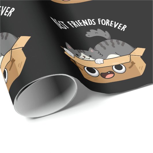 Beste vrienden voor altijd grappige kat en doos pu cadeaupapier (Rol Hoek)