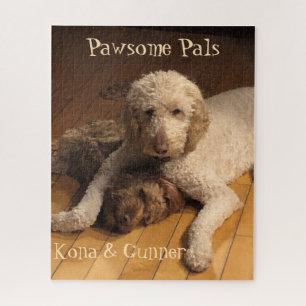Beste vrienden voor altijd: het duo Goldendoodle Legpuzzel