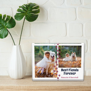 Beste Vrienden Voor Altijd Twee Foto's Roze Pootaf