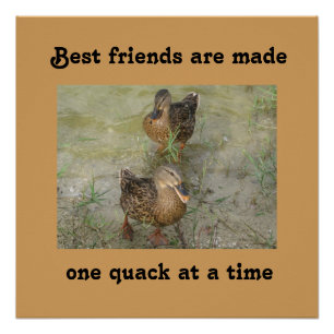 Beste vrienden worden gemaakt - 20 x 20 Poster