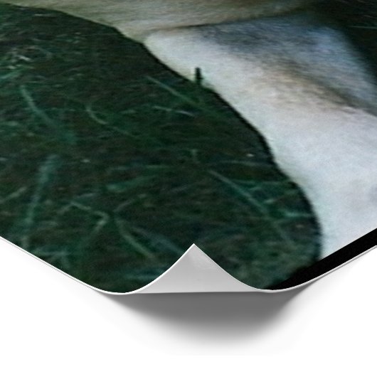 Beste vrienden, zijn de mensen... poster (Hoek)