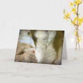 Beste vriendenkat en geit kaart (Gele Bloem)