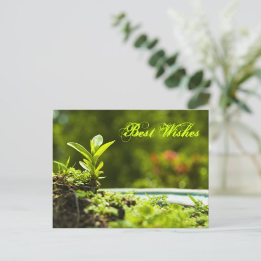 Beste wensen - briefkaarten (Staand voorkant)