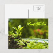 Beste wensen - briefkaarten (Voorkant / Achterkant)