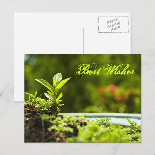 Beste wensen - briefkaarten (Voorkant / Achterkant)