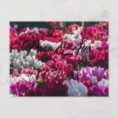 Beste wensen nieuw weddenschap over de bestemming  briefkaart (Voorkant)