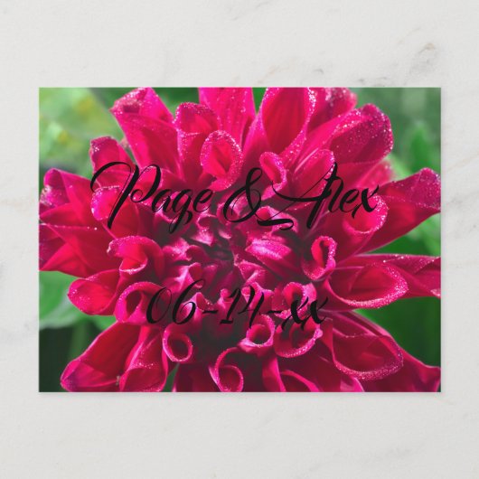 Beste wensen nieuw weddenschap over de bestemming  briefkaart (Voorkant)