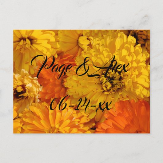 Beste wensen nieuw weddenschap over de bestemming  briefkaart (Voorkant)