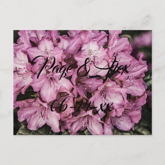 Beste wensen nieuw weddenschap over de bestemming  briefkaart (Voorkant)