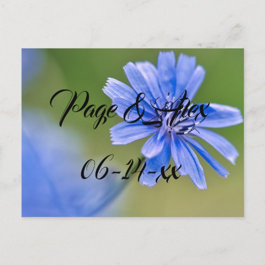 Beste wensen nieuw weddenschap over de bestemming  briefkaart (Voorkant)