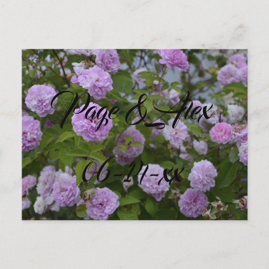 Beste wensen nieuw weddenschap over de bestemming  briefkaart (Voorkant)