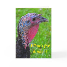 Beste wensen op kalkoendag, een schattige reflecti