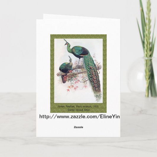 Beste wensen, vrienden, familie, Peacock Kaart (Achterkant)