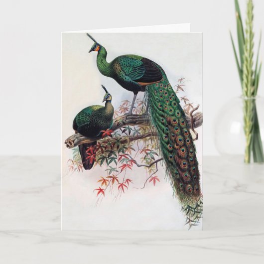 Beste wensen, vrienden, familie, Peacock Kaart (Voorkant)