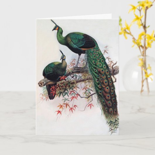 Beste wensen, vrienden, familie, Peacock Kaart (Gele Bloem)